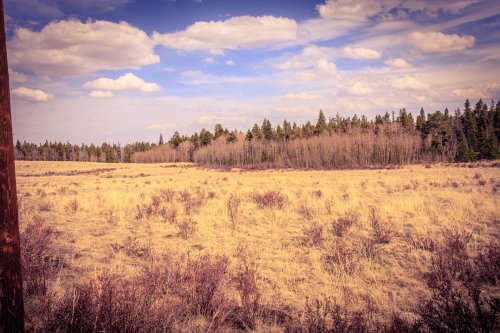 A field on the high plains